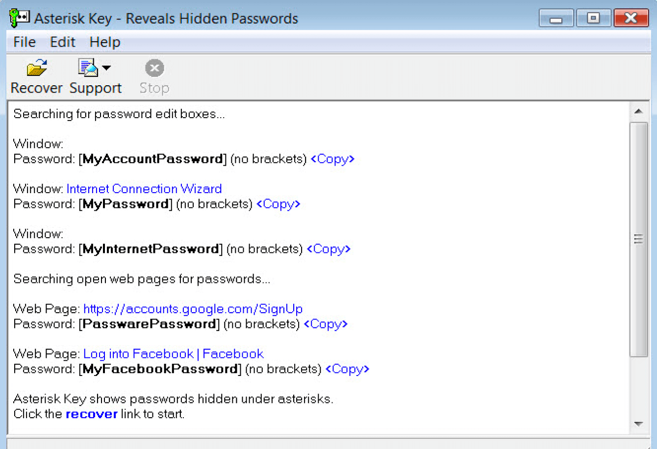 Passware Asterisk Key